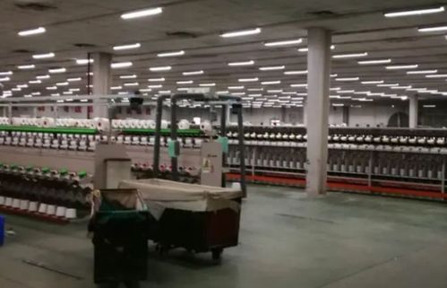 涤纶丝价格飙升聚酯封盘 绍兴纺织业高温重启，旅游板块蓄势待发